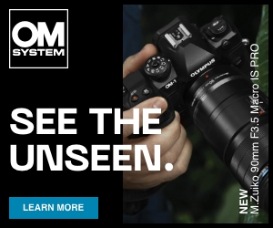 OM SYSTEM TG-6 Review: The Rugged Tough Digital Camera for Outdoor Shoots