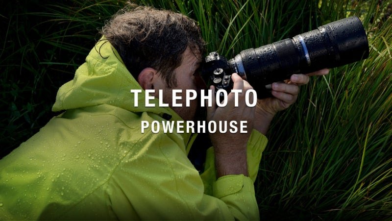 OM SYSTEM M.Zuiko Digital ED 300mm F4.0 IS PRO Review: The 600mm Reach for Micro Four Thirds