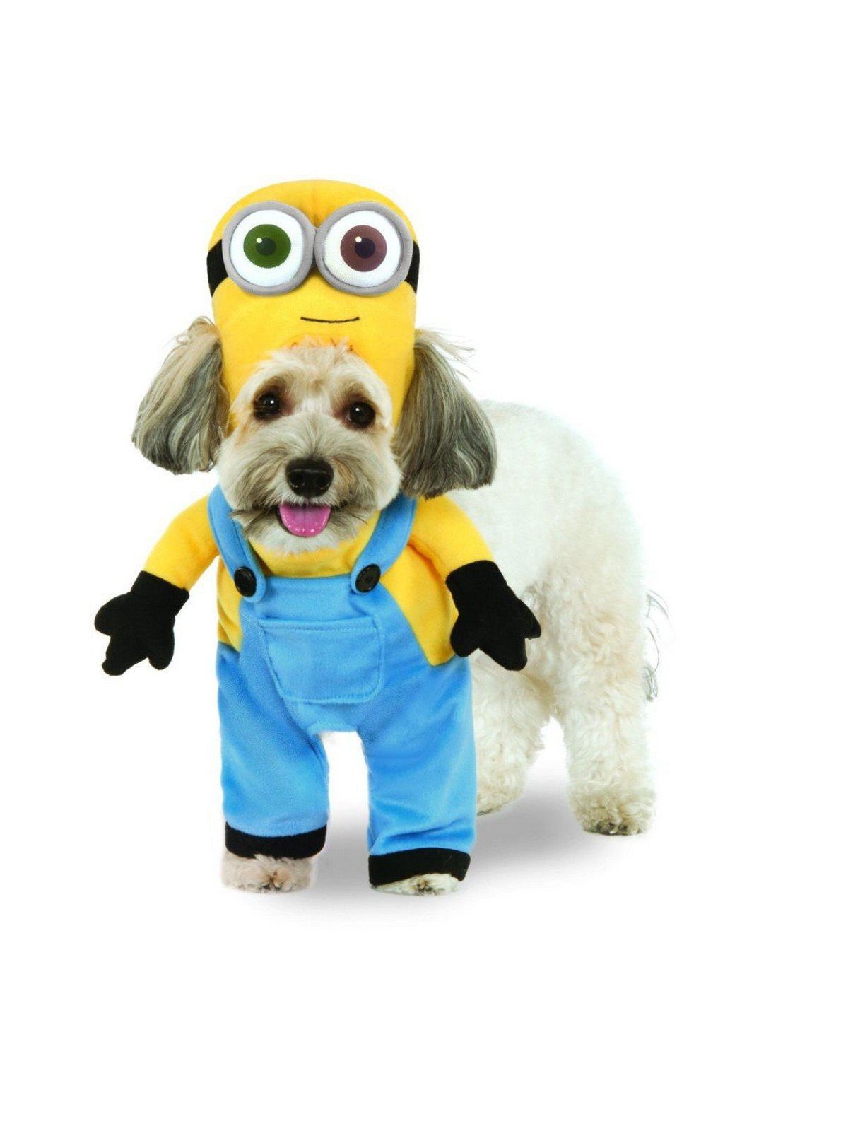 Despicable Me Costumes