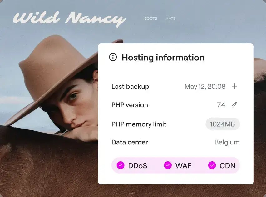 Elementor Host Review: The Managed WordPress Hosting Built for the Builder