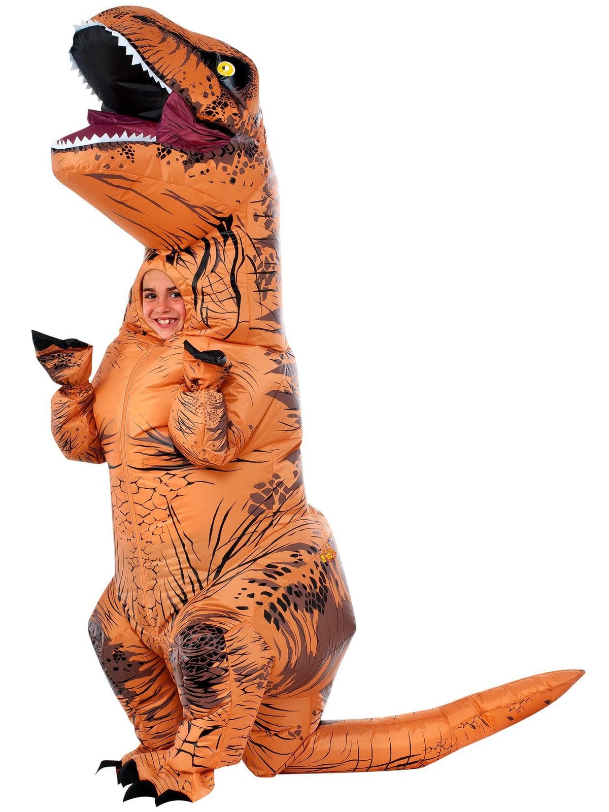 Funny Costumes: Review of the Costumes.com Collection