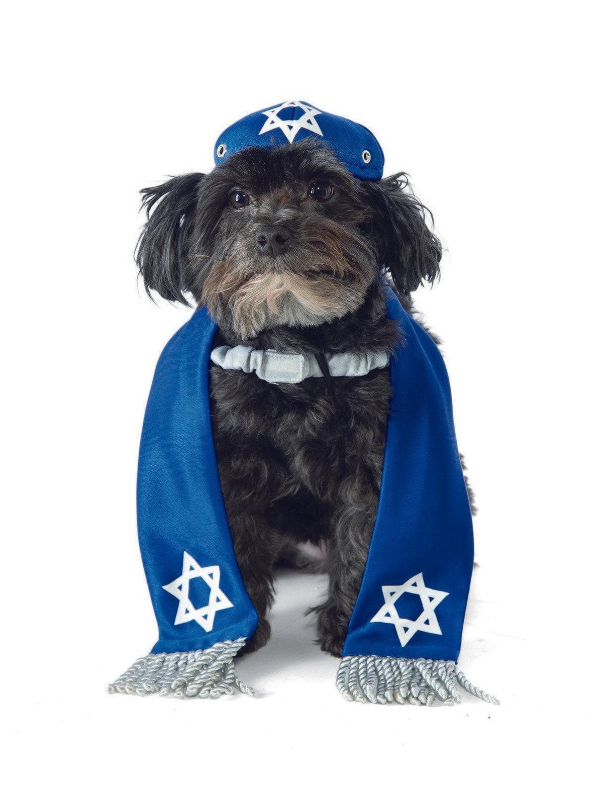 Hanukkah Costumes: The Right Pick for a Festive Night
