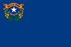 Nevada Newspapers: What the Archive Actually Holds (and What to Verify First)