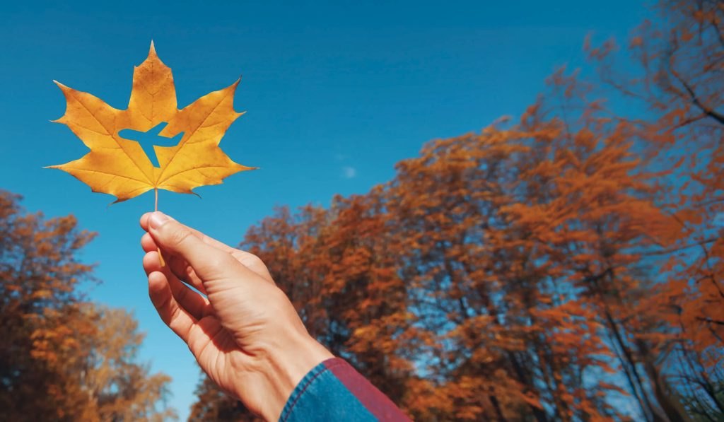 OVAGO FALL50: A Review of the Fall Travel Booking Experience
