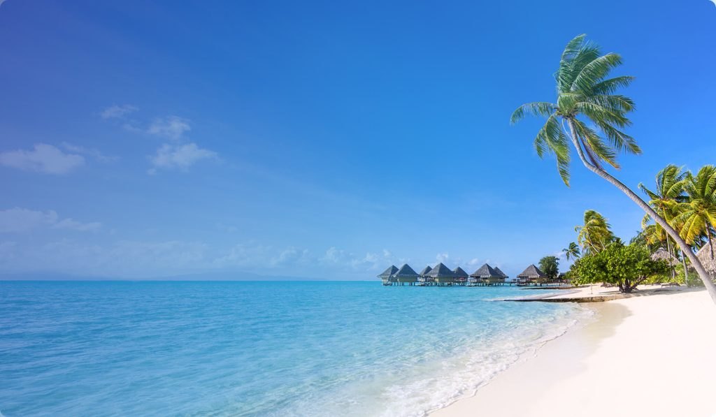 OVAGO SUMMER50 Review: Is This Summer Flight Deal Worth Your Click?