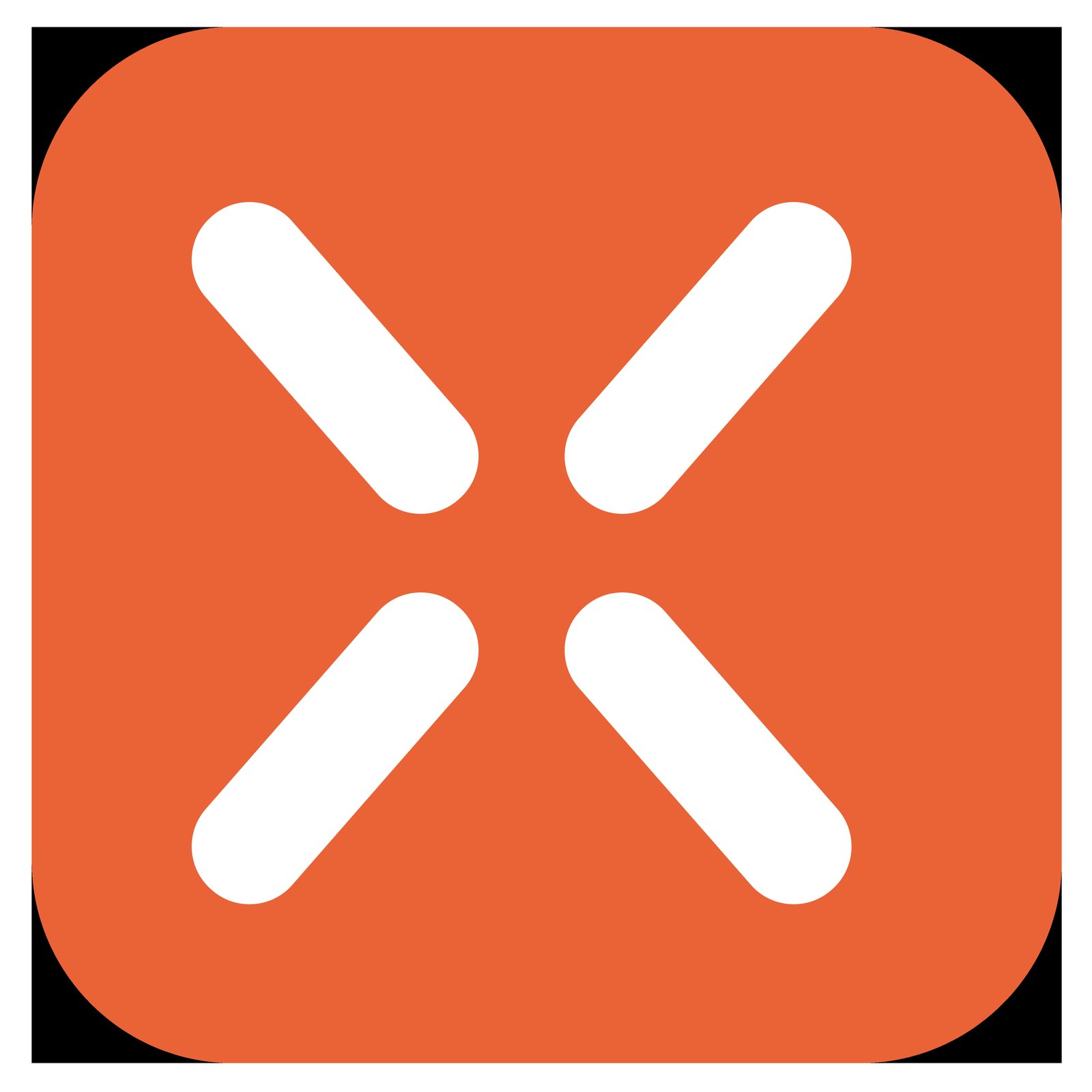 rexing product